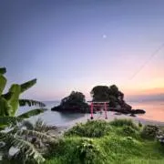 チャーリーの画像