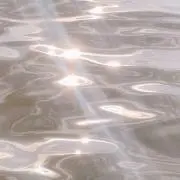 gmの画像