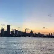 サツキの画像