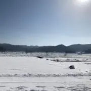 ぷーさんの画像