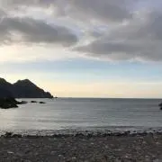 ぴょんの画像