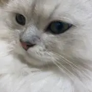 ア