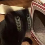 Yuの画像