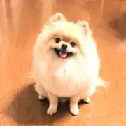 まーぎん