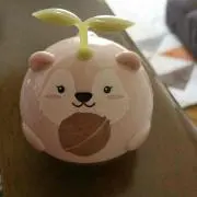 めだか❤️の画像