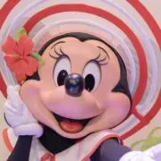 まるこん(プロフ必読)の画像