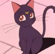 のわの画像