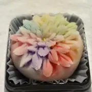 もち コメ無し即購入OK【匿名配送】の画像