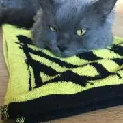 まるまる