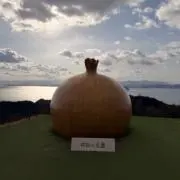 迷子の画像