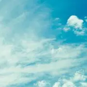 このかんの画像
