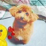 にこ