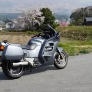 いそたすの画像