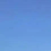 良夜の画像