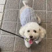 えりの画像