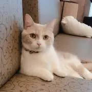 ぷーん