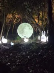 Ｋさんの画像