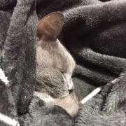 teruの画像