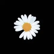 88