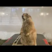 Kmkrの画像