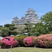 むむの画像