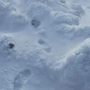 ひがしの画像