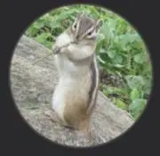 ll■lE∞Vの画像