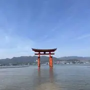 UK販売の画像