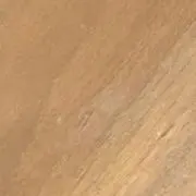 はるむの画像