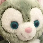抹茶(プロフィール必読)の画像