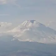 さくら