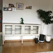 ゆきの画像