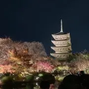 Sの画像