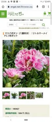 みかりん