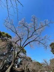 今年は断捨離！の画像