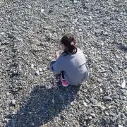 ちくたくの画像