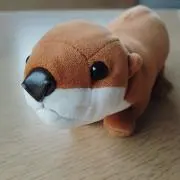 かわちゃんの画像