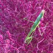 のっち　＊プロフ要確認＊の画像