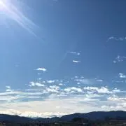 amiの画像