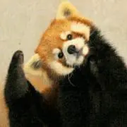 ゆーみんの画像
