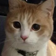 まる
