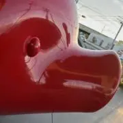 こうたの画像