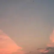 ポンちゃん