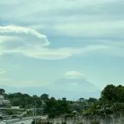 maiの画像