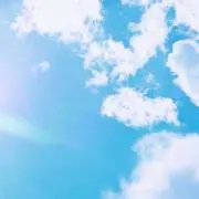 つばき