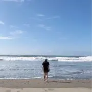 サカナのしっぽの画像