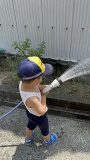 シルク
