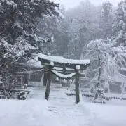 Sの画像