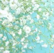 Non✨フォロー割あり❤️の画像