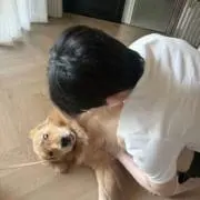 ダオダオの画像